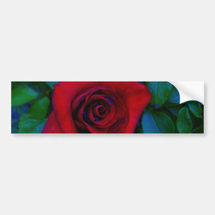 Adesivo Para Carro Rosas vermelhas com tons azuis