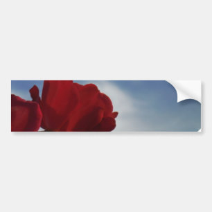 Adesivo Para Carro Rosas vermelhas contra o céu azul brilhante