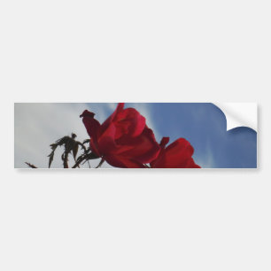 Adesivo Para Carro Rosas vermelhas contra o céu azul brilhante