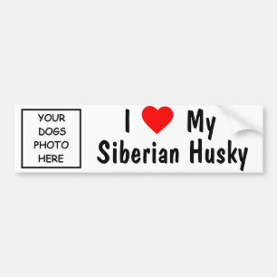Adesivo Para Carro Rouco Siberian