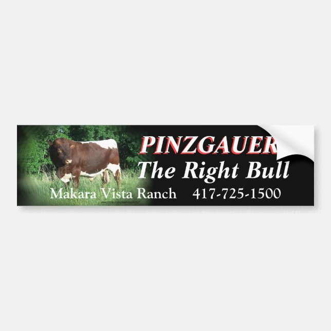 Adesivo Para Carro RRF2-rhtbl-Bumpersticker-customize (Frente)