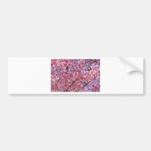 Adesivo Para Carro Sakura Pink Chersom Sky