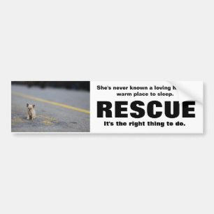 ADESIVO PARA CARRO SALVAMENTO ANIMAL BUMPERSTICKER
