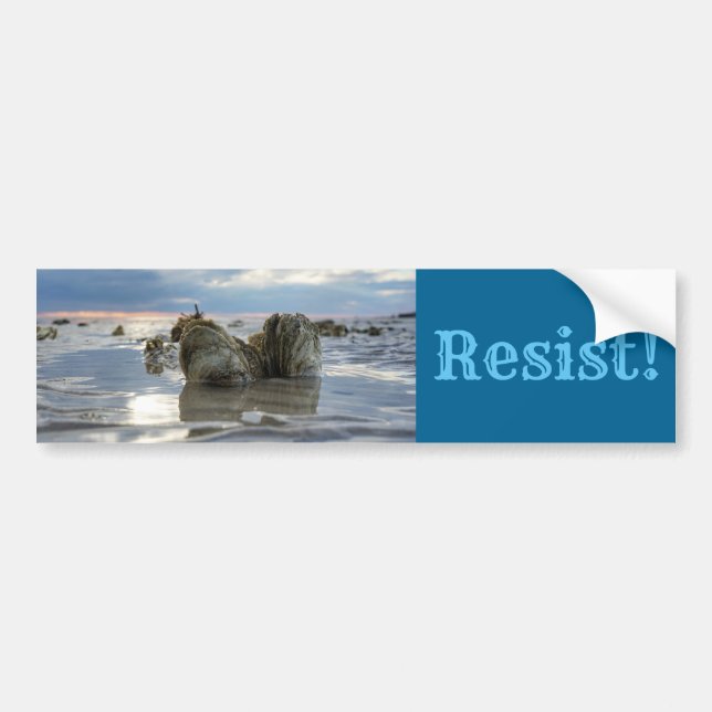 Adesivo Para Carro Salvar a baía de Chesapeake! (Frente)