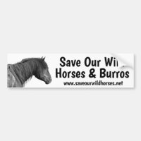 Salve nossos cavalos selvagens