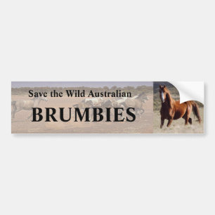 Adesivo Para Carro Salve Os Brumbidos Australianos Selvagens