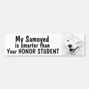 Adesivo Para Carro Samoyed mais esperto do que o estudante da honra -