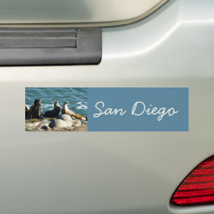 Adesivo Para Carro San Diego Sea Lions