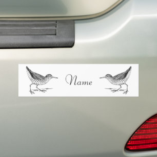 Adesivo Para Carro Sandpiper Shorebird Thunder_Cove