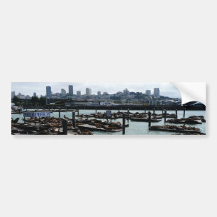 Adesivo Para Carro São Francisco e Pier 39 Sea Lions City Skyline