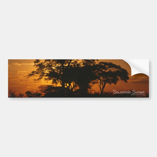Adesivo Para Carro Savannah Sunset Bumper Sticker (Frente)
