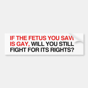 Adesivo Para Carro Se o feto que você salvar for gay