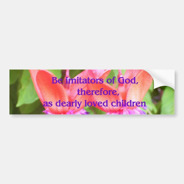 Adesivo Para Carro Seja imitadores do deus (Frente)