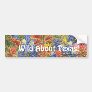 Adesivo Para Carro Selvagem sobre Texas! Autocolante no vidro