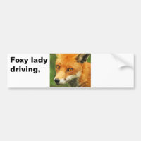 Senhora Foxy, condução Foxy da senhora,