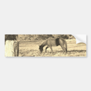 Adesivo Para Carro Sepia tone Cavalo castanho e cerca