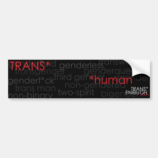 Adesivo Para Carro ser humano do trans* (Frente)