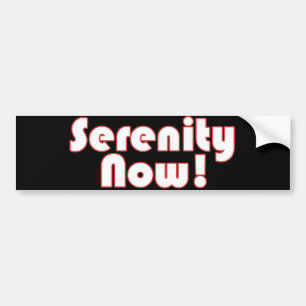 Adesivo Para Carro Serenity Now! slogan