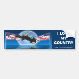Adesivo Para Carro Série BALD EAGLE e US FLAG Patriot