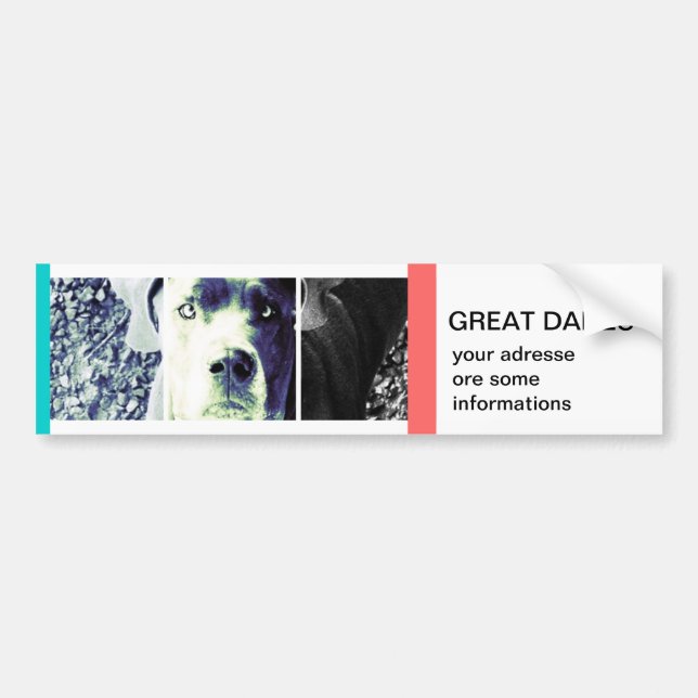 Adesivo Para Carro seu próprio Bumper Sticker (Frente)