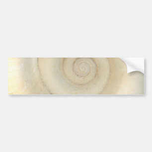 Adesivo Para Carro Shell - concologia - espiral branca