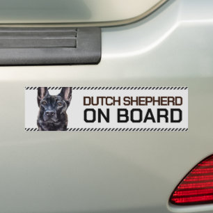 Adesivo Para Carro Shepherd holandês no Conselho