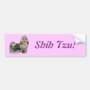 Adesivo Para Carro Shih Tzu