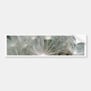 Adesivo Para Carro Shiny waterdrops on a white dandelion