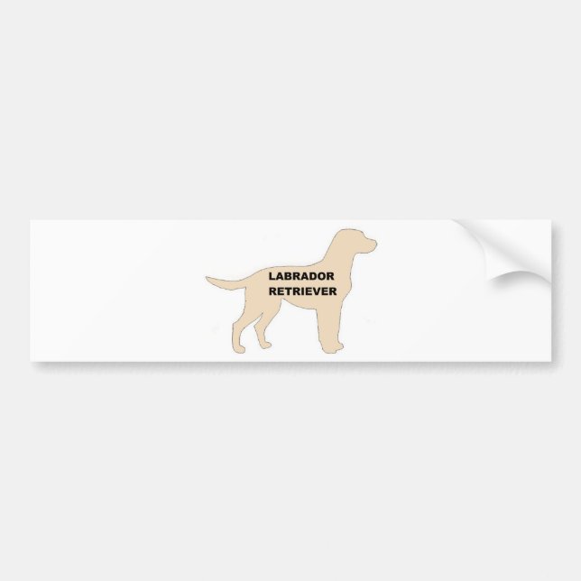 Adesivo Para Carro Silhouette de nome amarelo LR (Frente)