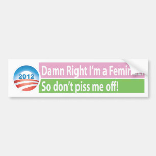 Adesivo Para Carro Sim eu sou um Feminazi!