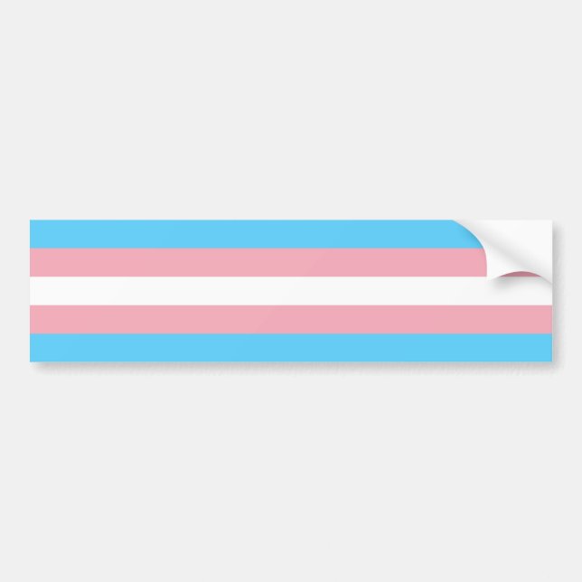 Adesivo Para Carro Sinalizador Trans Pride (Orgulho Transgênero) (Frente)