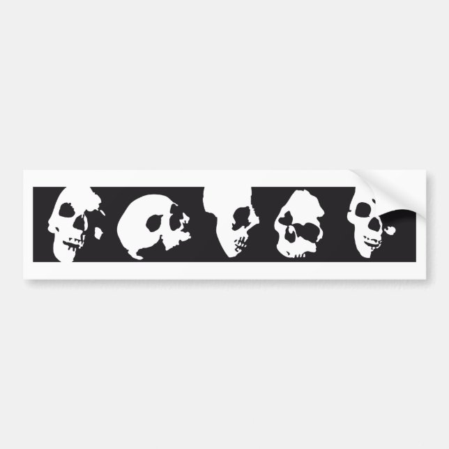 Adesivo Para Carro skull (Frente)