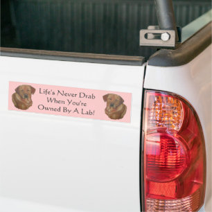 Adesivo Para Carro slogan amusing dourado do cão de labrador