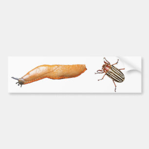 Adesivo Para Carro Slug e inseto