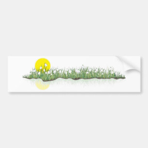 Adesivo Para Carro snowdrops