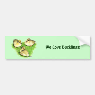 Adesivo Para Carro Snowy Mallard Ducklings