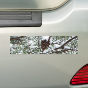 Adesivo Para Carro Snowy Pine Cone II Fotografia de inverno