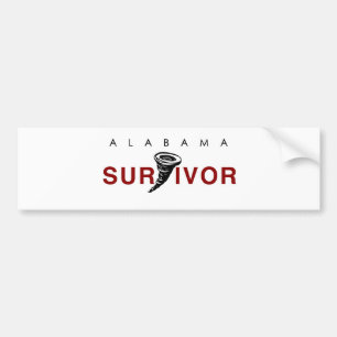 Adesivo Para Carro Sobrevivente do furacão