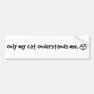 Adesivo Para Carro somente meu gato compreende-me