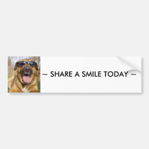 Adesivo Para Carro Sorrindo labrador
