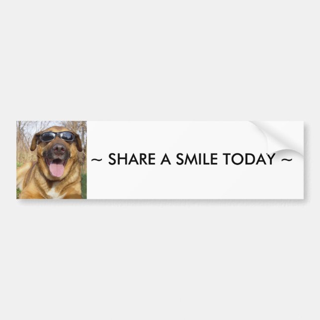 Adesivo Para Carro Sorrindo labrador (Frente)