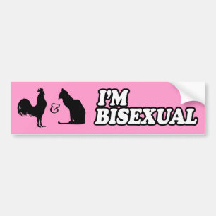 Adesivo Para Carro SOU BISEXUAL -.png