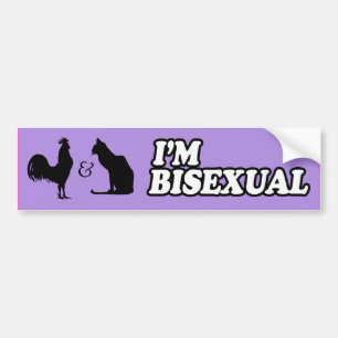 Adesivo Para Carro SOU BISEXUAL -.png