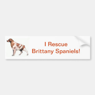 Adesivo Para Carro Spaniel de Brittany