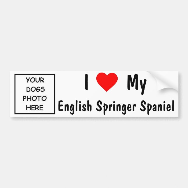 Adesivo Para Carro Spaniel de Springer inglês (Frente)