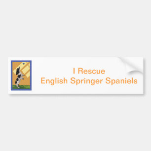 Adesivo Para Carro Spaniel de Springer inglês