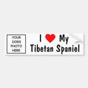 Adesivo Para Carro Spaniel tibetano