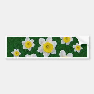 Adesivo Para Carro Spring Daffodils