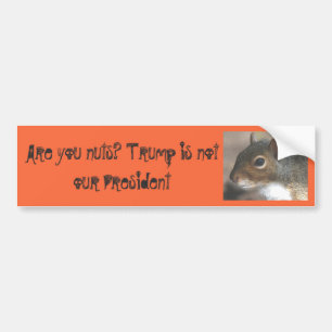 Adesivo Para Carro Squirrelly é você os loucos! O trunfo não é no