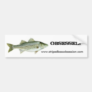 Adesivo Para Carro stripe10, www.stripedbassobsession.com, OBCECADO!